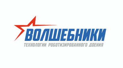 Волшебники